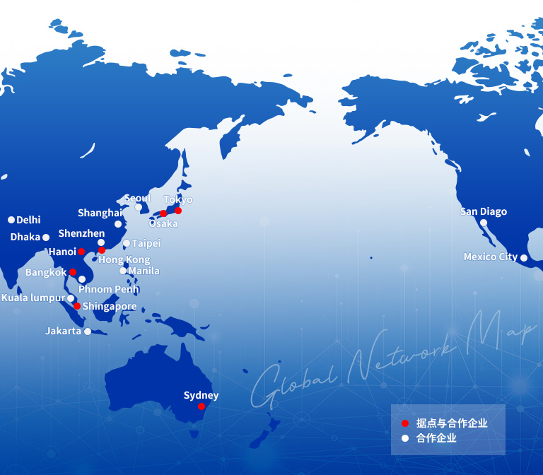 Global Network map
